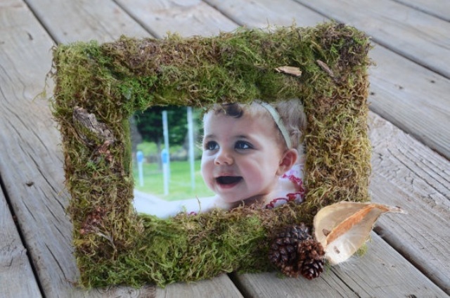 Cornice rivestita da muschio, foglie secche e pigne