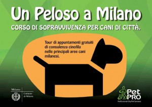 un-peloso-a-milano