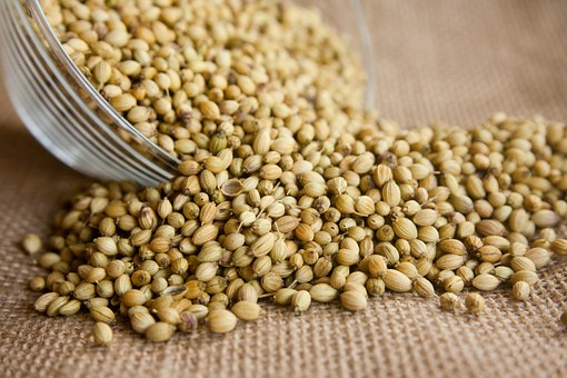 coriander-166990__340
