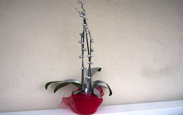 Orchidea argentata per Natale