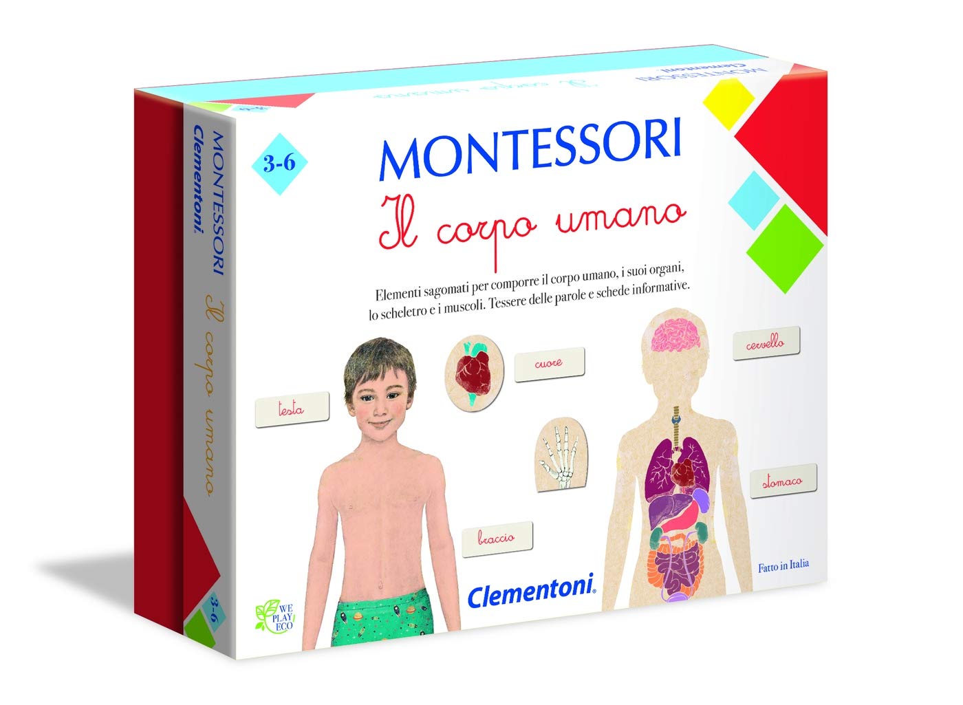 Metodo Montessori corpo umano