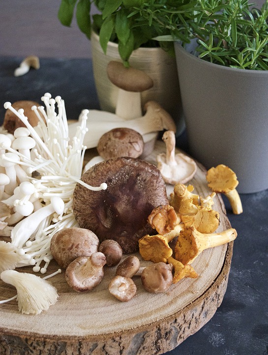 funghi shiitake proprietà e controindicazioni