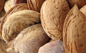 formaggio di mandorle vegan