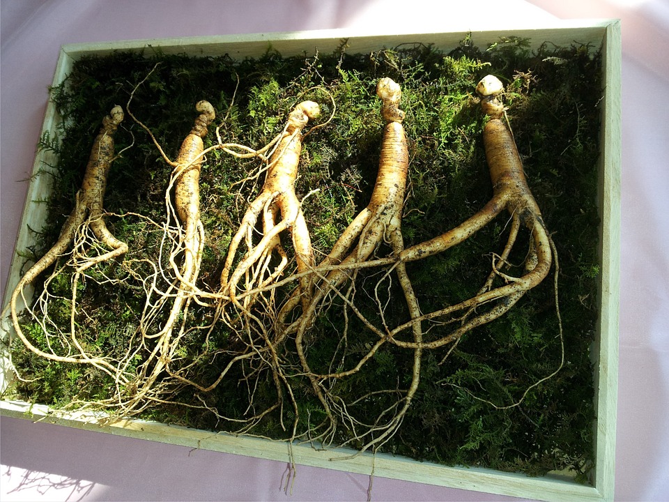 ginseng indiano benefici e controindicazioni