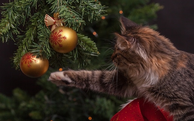 albero di natale a prova di gatto