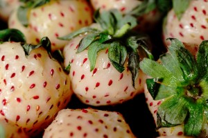 Pineberry