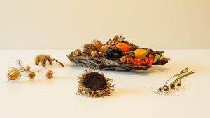 decorazioni frutta secca