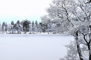 Le più belle frasi e poesie sulla neve, ma anche sulle lunghe e romantiche giornate d'inverno, ecco le riflessioni più belle sulla magia della neve.