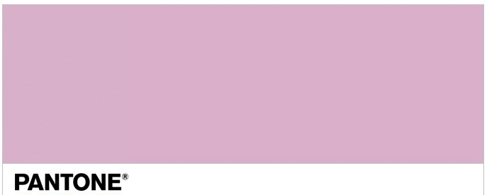 Pantone lilla