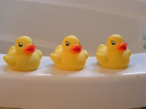 rubber-duckies-14614_960_720