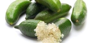 Finger lime
