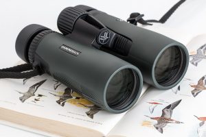mete per gli appassionati di birdwatching-4
