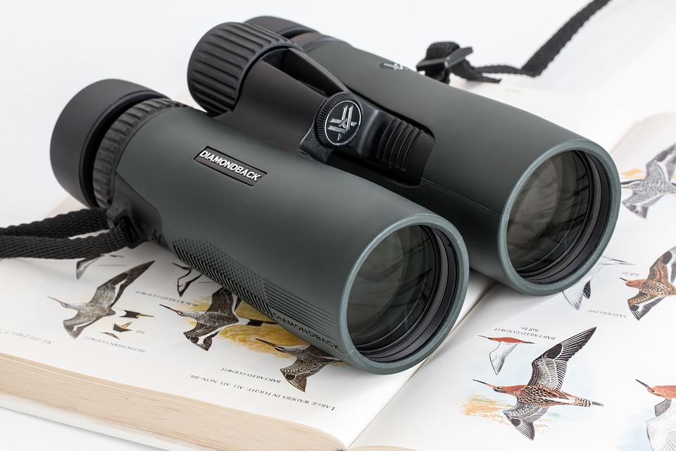 mete per gli appassionati di birdwatching-4