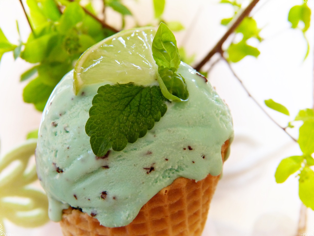 Gelato alla menta