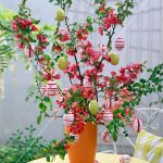 Osterstrauß aus Chaenomeles (Zierquittenzweige)