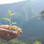 Concept of environmental conservation in the garden for children.