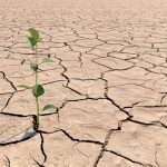 siccità 1