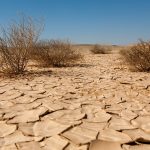 siccità 4