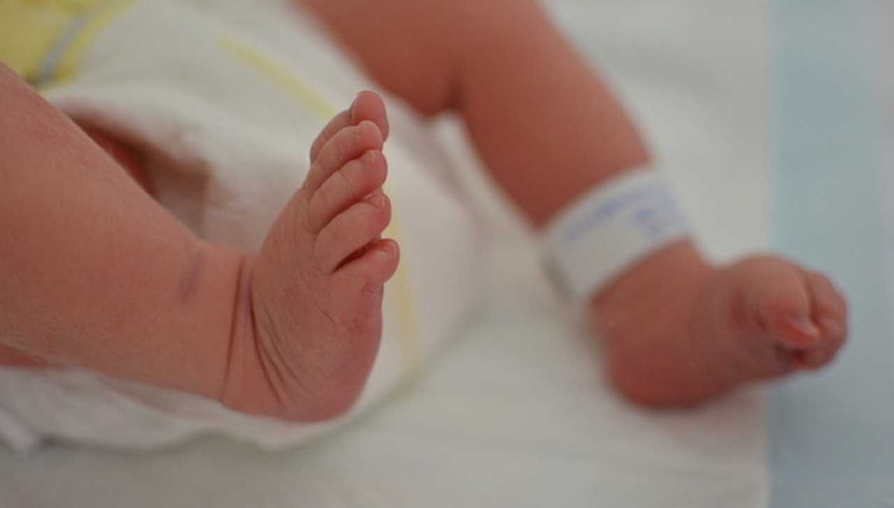 virus respiratorio sinciziale rcv