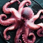 Octopus on a black background. Seafood. Free space for your text