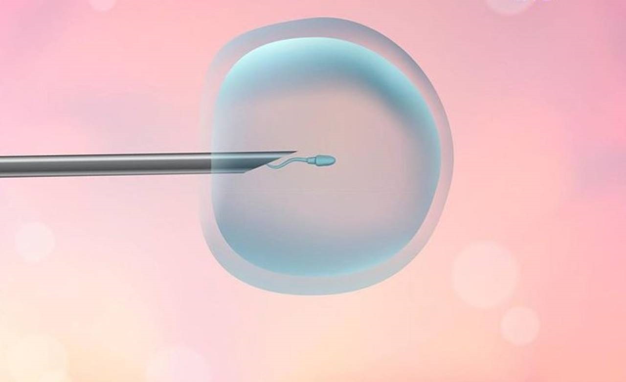 Congelamento degli ovuli