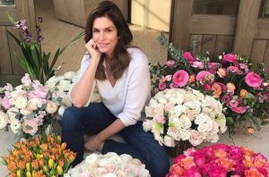 Cindy Crawford, biografia, carriera, vita privata, età, cosa fa oggi