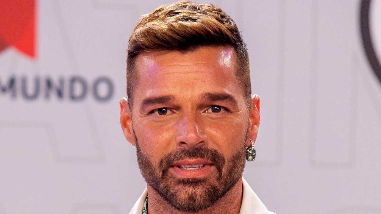 Ricky Martin, il re de Pop Latino.
