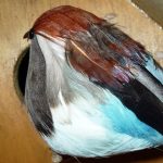 Decorazione natalizia fai da te: casetta colorata