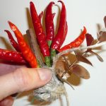 Decorazione natalizia fai da te: casetta colorata