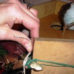 Decorazione natalizia fai da te: casetta colorata