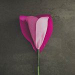 Prendete un petalo a forma di cuore e avvolgetelo intorno al bocciolo di rosa, fissando sempre con il nastro adesivo. Ripetete la stessa operazione fino a quando non sono stati utilizzati tutti i petali.