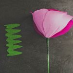 Ricavate la corolla con il templete sulla carta crespa verde.