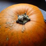 Come fare la lanterna con la zucca Halloween