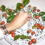 Ghirlanda fai da te con i pettirossi