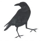 Halloween, la tovaglia con i corvi