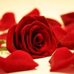 San Valentino tutorial