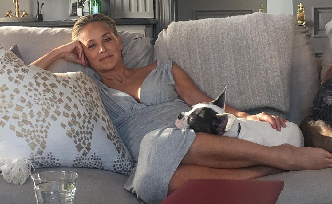 Sharon Stone, biografia, carrierà, età, vita privata, figli