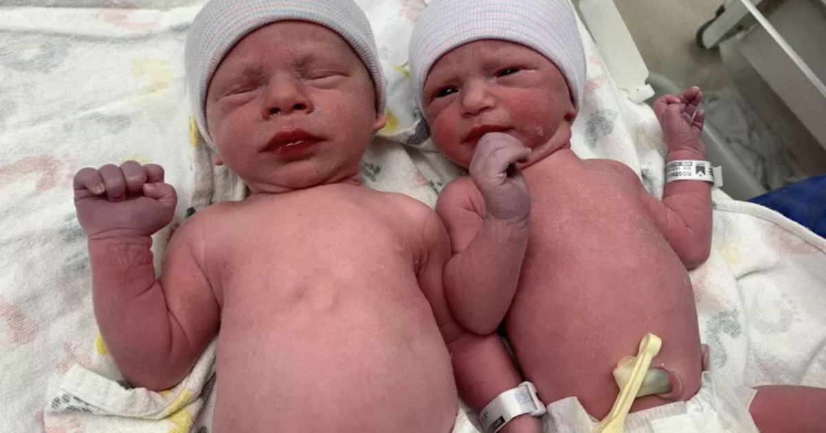 neonati da embrione di 30 anni