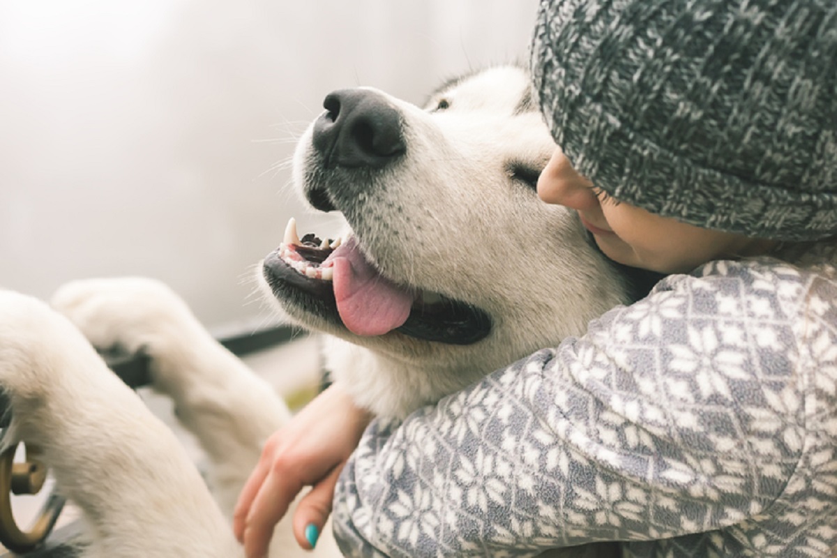 Image of young girl with her dog, alaskan malamute, outdoor