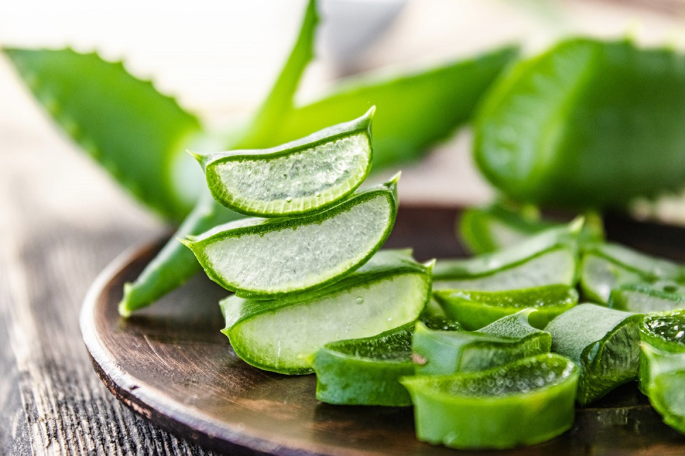 Aloe Vera, berla può essere prezioso: quali sintomi può curare