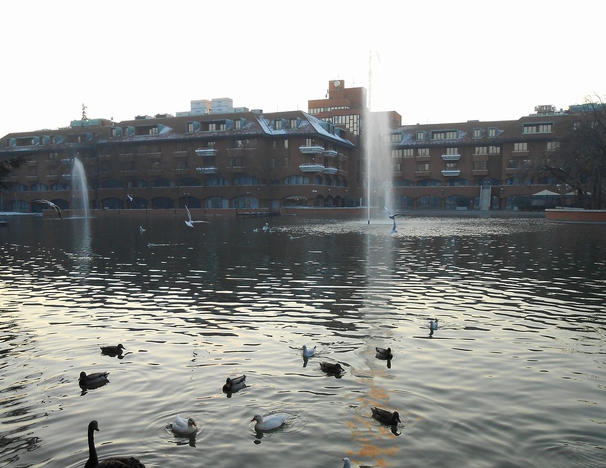 Lago dei Cigni Milano 2
