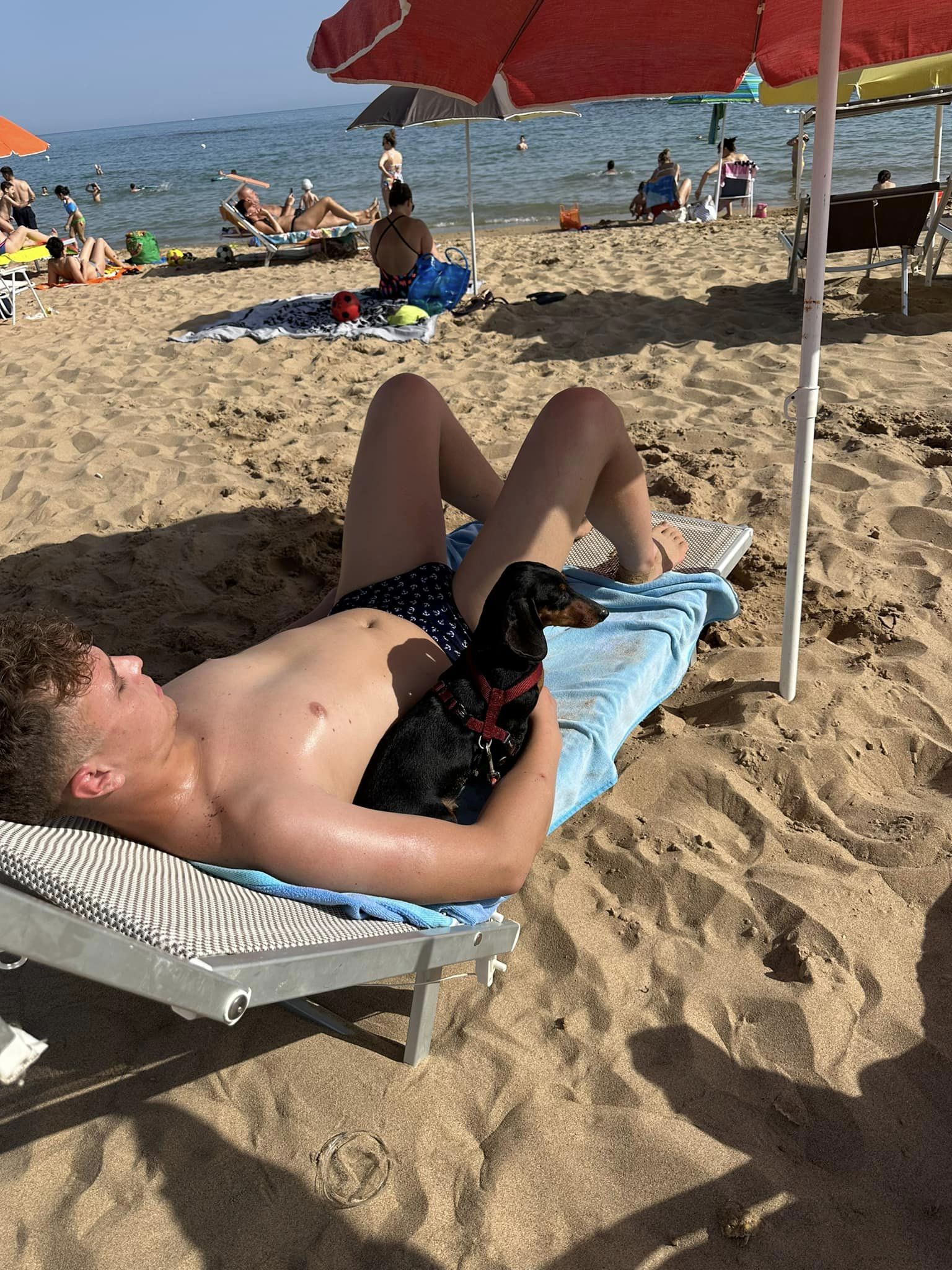 Vittorio Russo e la sua bassottina Toffee