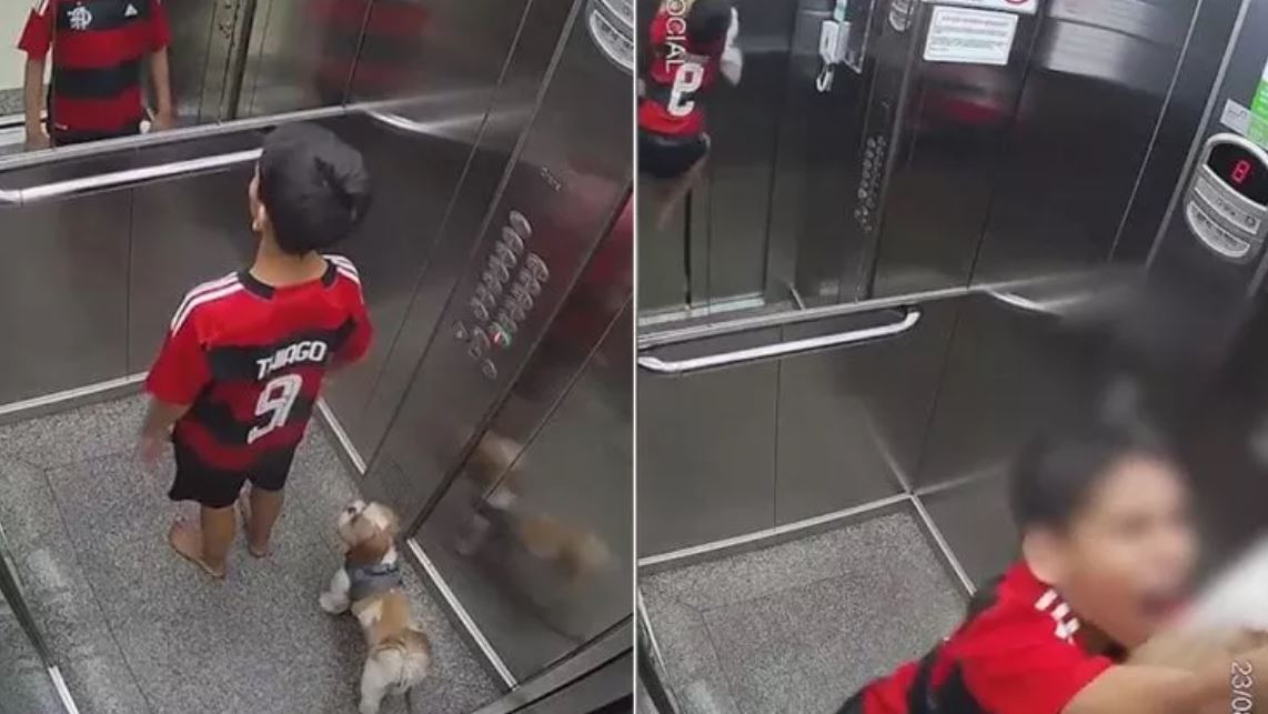 Momenti da incubo per un 11enne: il guinzaglio del cagnolino resta incastrato in ascensore