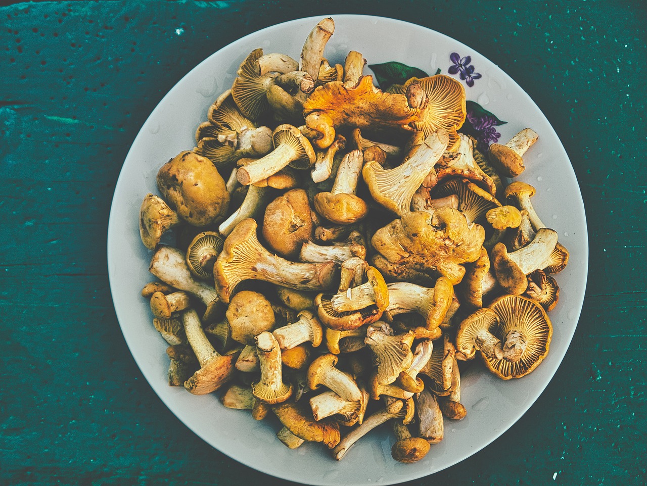 Cucina funghi per i parenti, tre muoiono, uno è gravissimo: indagata la nuora