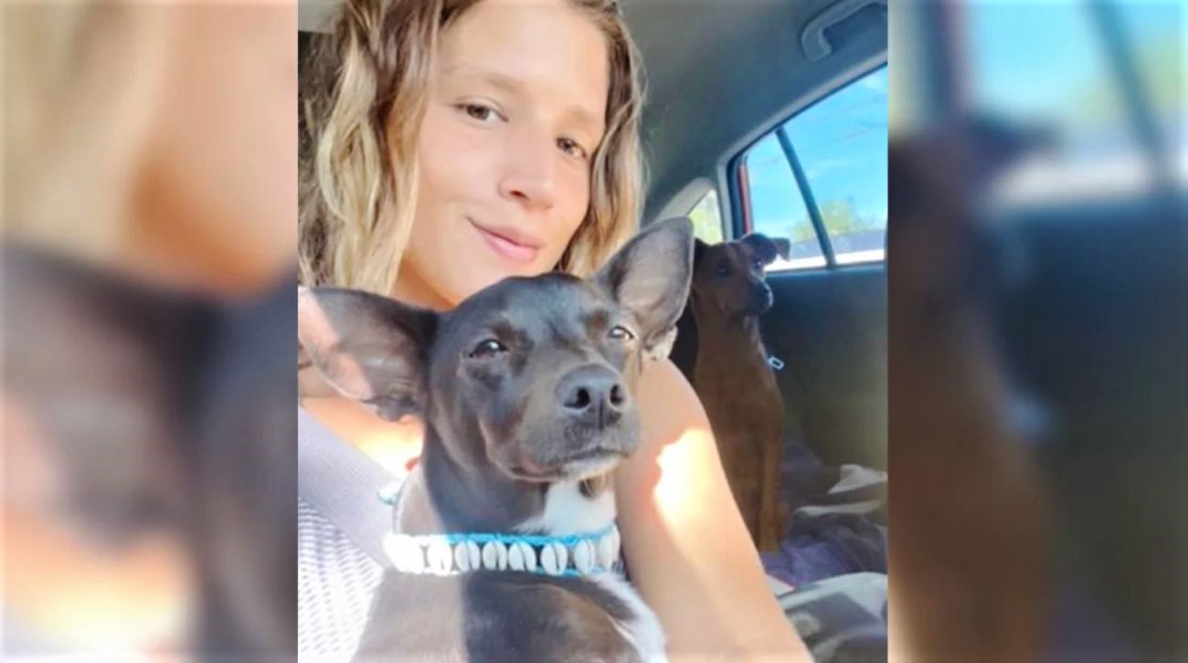 Compagnia aerea perde la sua cagnolina, l'incubo di una 25enne: "Non vado da nessuna parte senza di lei"