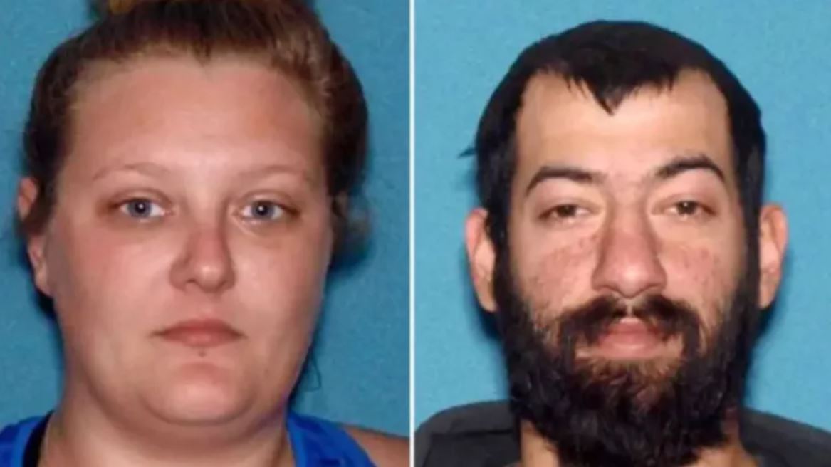 Bimbo di 9 anni costretto a vivere con 30 cani morti in casa: arrestata una coppia