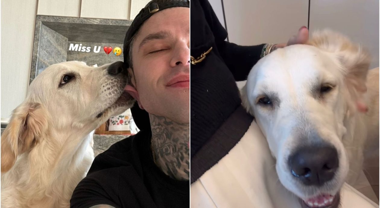 Fedez e Paloma 1