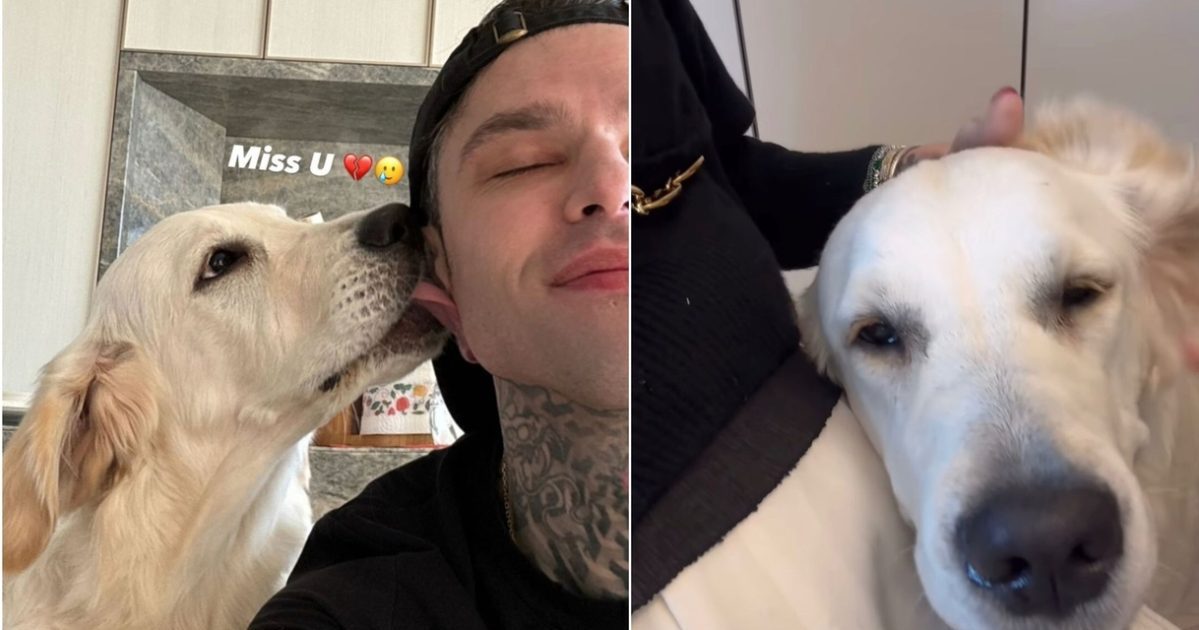 Fedez e Paloma 1