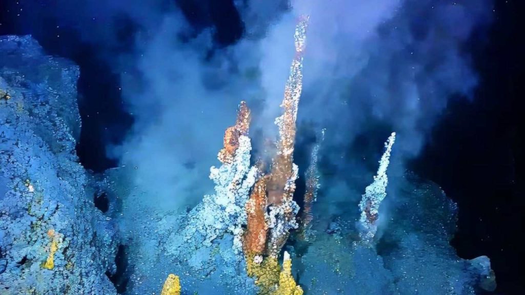 Alieni mare_Donnaclick