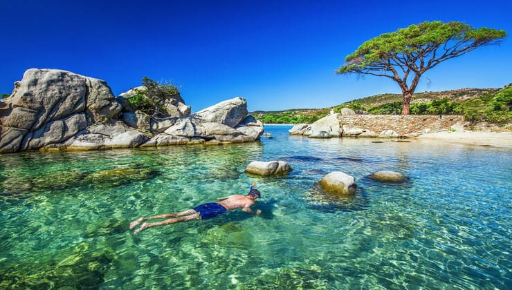 Spiaggia di Palombaggia con mare cristallino e pineta